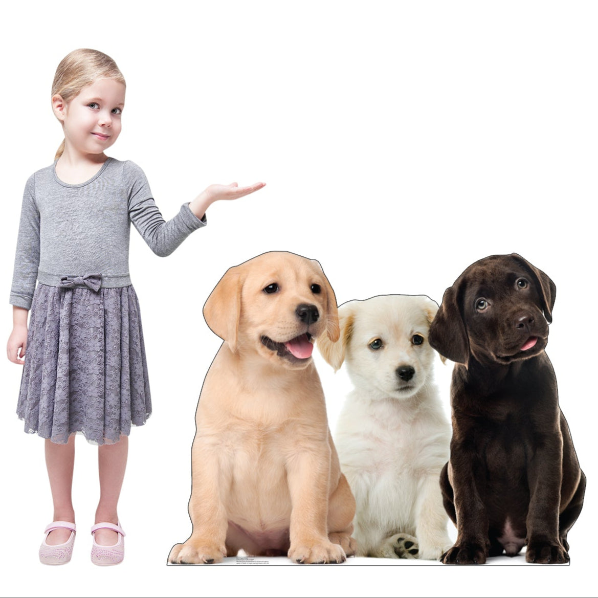 Puppy Group Life-Size Cardboard Cutout - All Cutouts