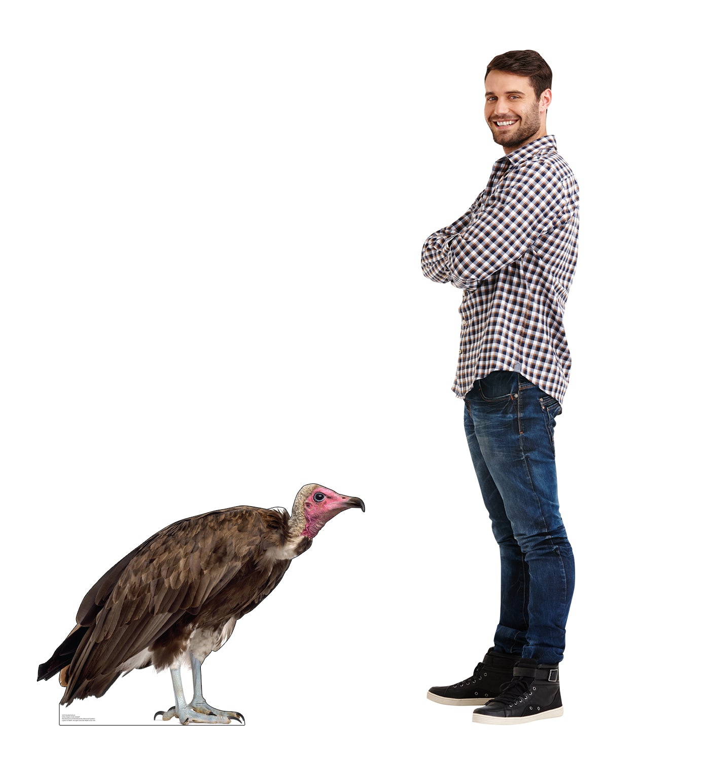 Hooded Vulture Life-Size Cardboard Cutout - All Cutouts