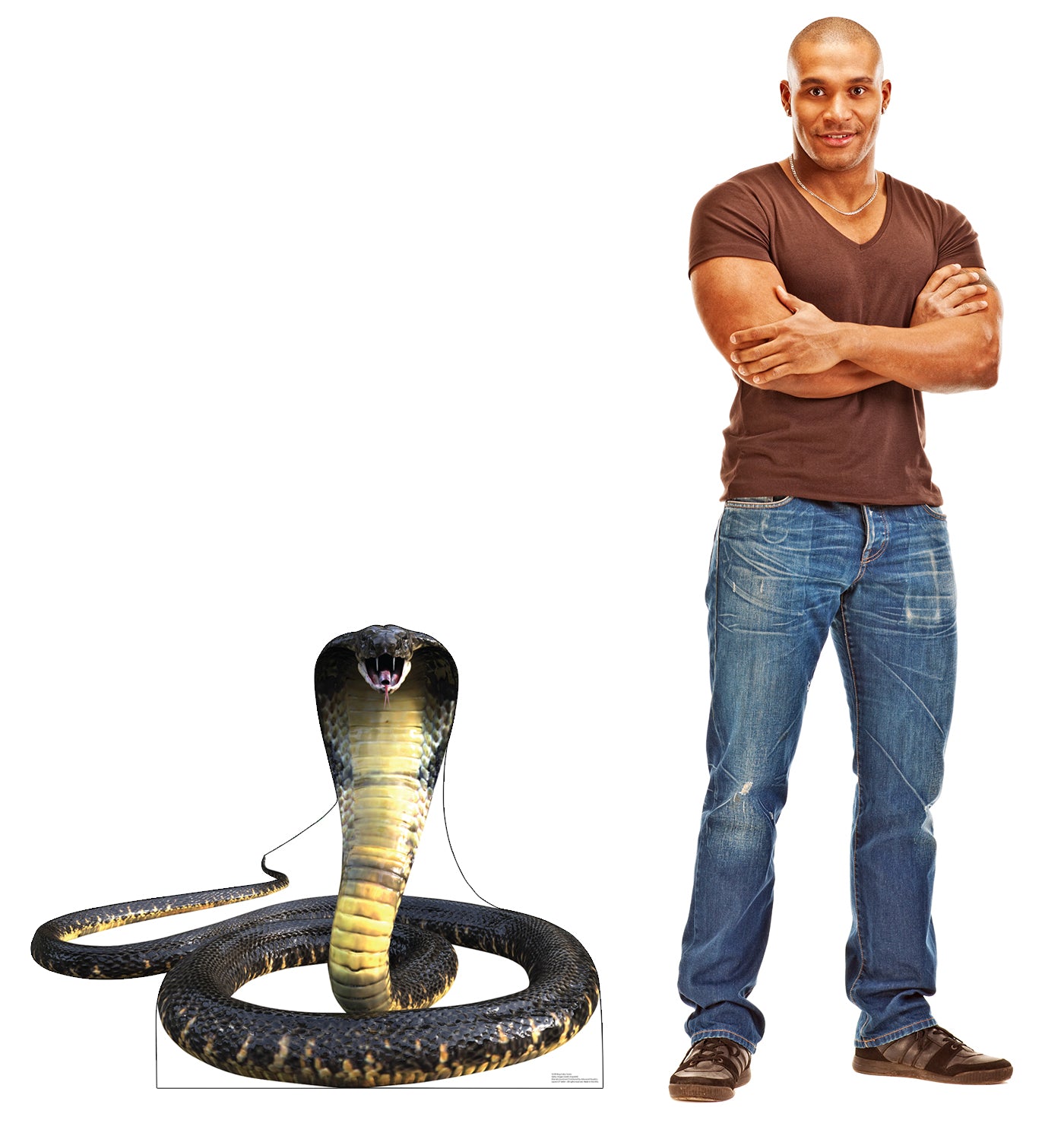 King Cobra Life-Size Cardboard Cutout - All Cutouts