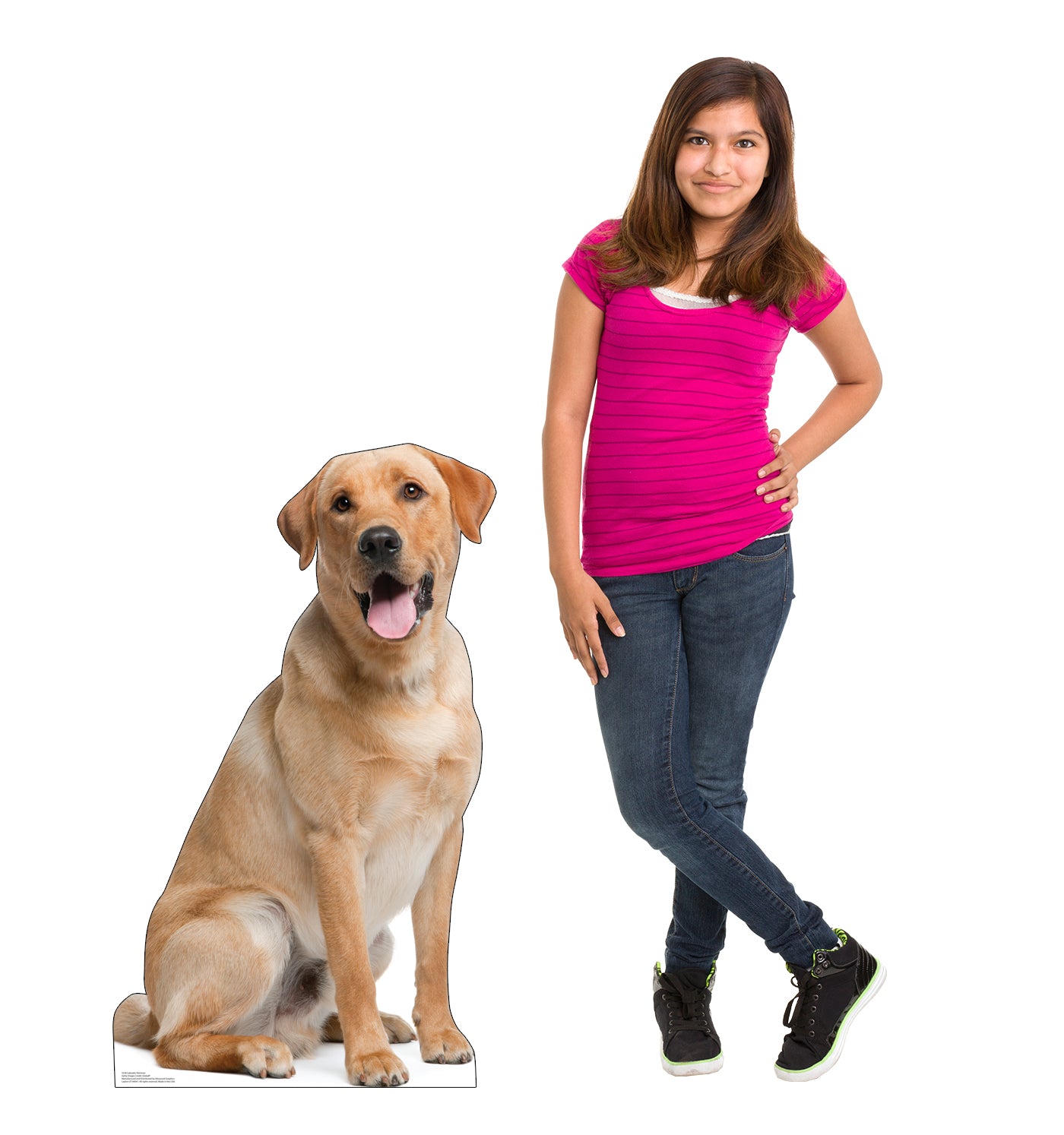 Labrador Retriever Life-Size Cardboard Cutout - All Cutouts