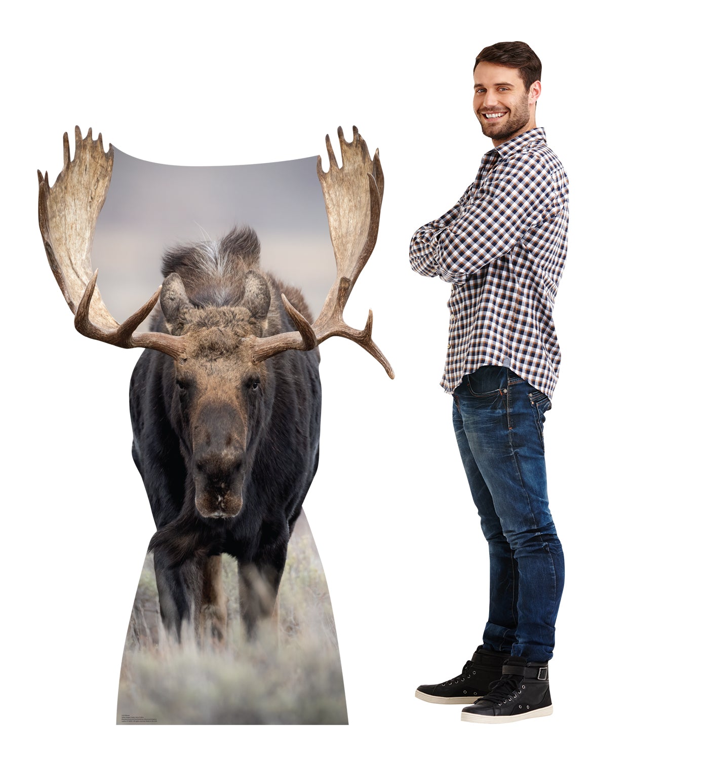 Moose Life-Size Cardboard Cutout - All Cutouts