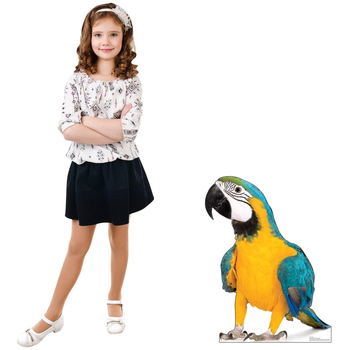 Parrot Life-Size Cardboard Cutout - All Cutouts