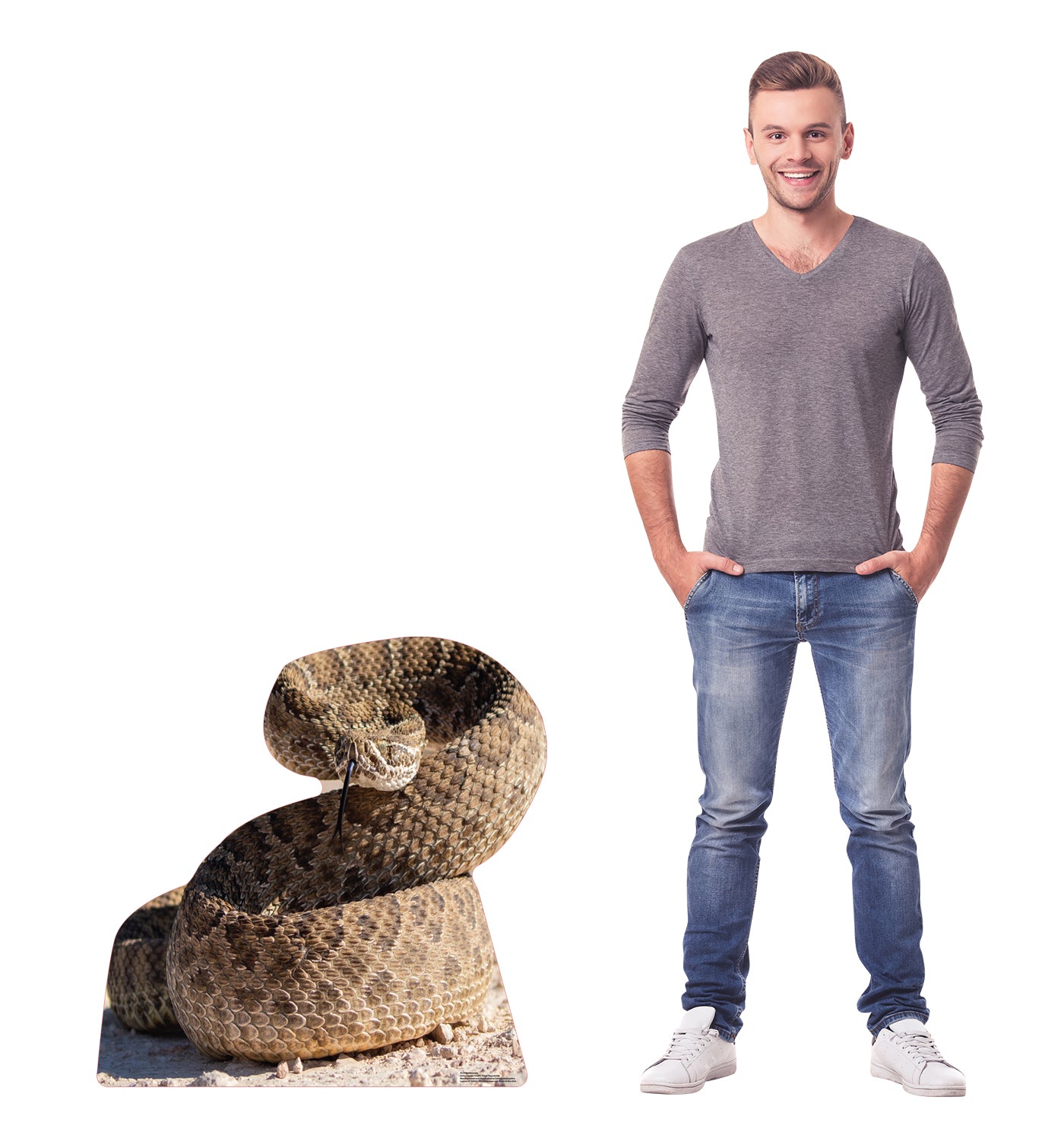 Rattlesnake Life-Size Cardboard Cutout - All Cutouts