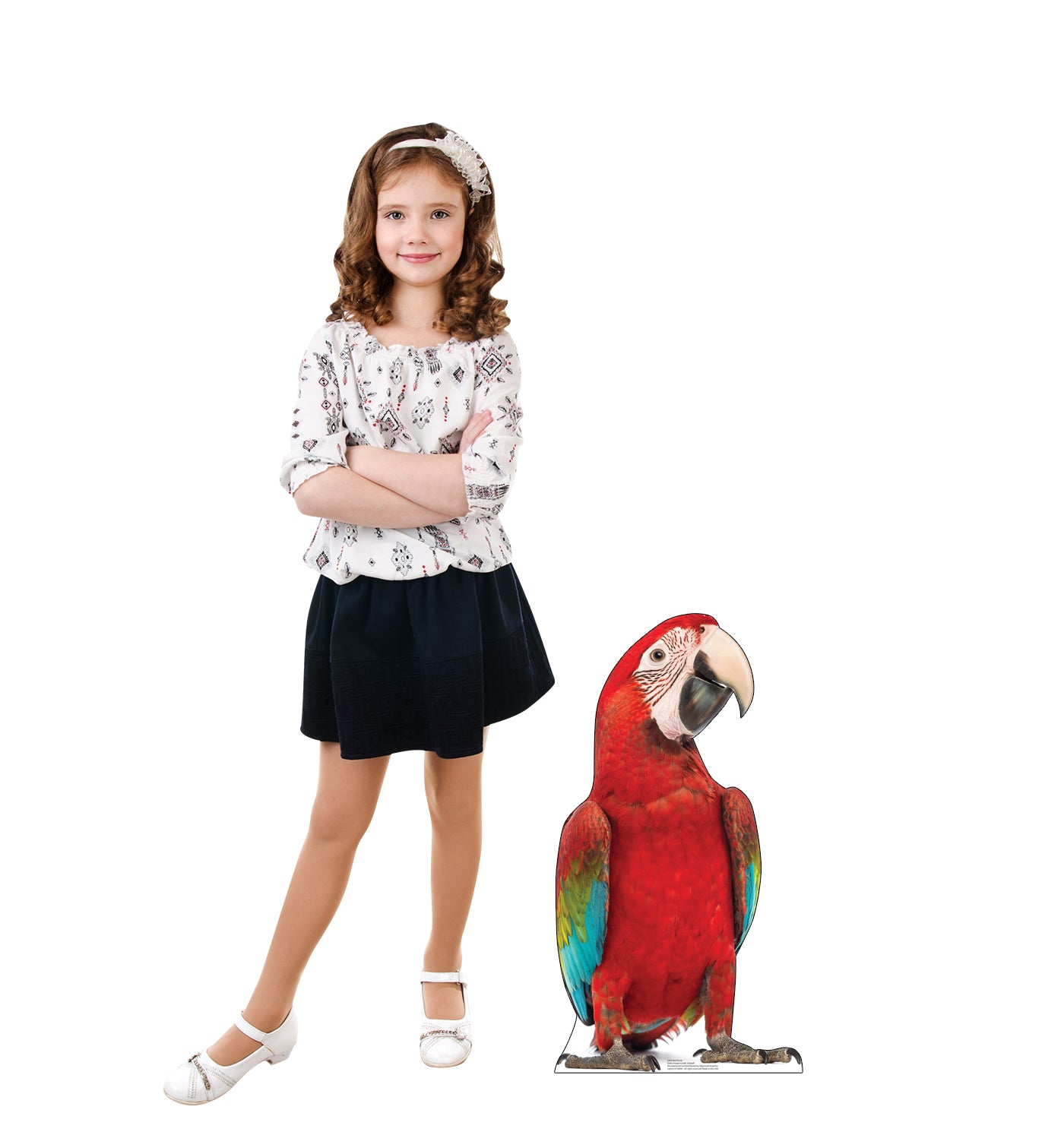Red Parrot Life-Size Cardboard Cutout - All Cutouts