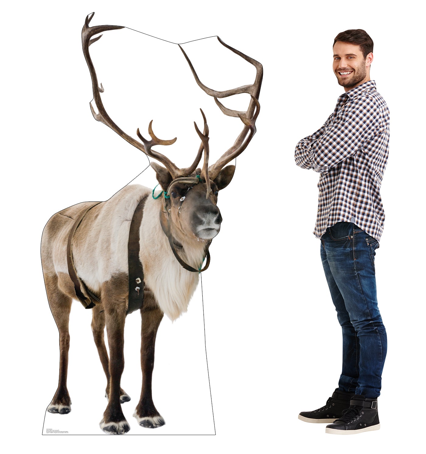 Reindeer Life-Size Cardboard Cutout Standee - All Cutouts