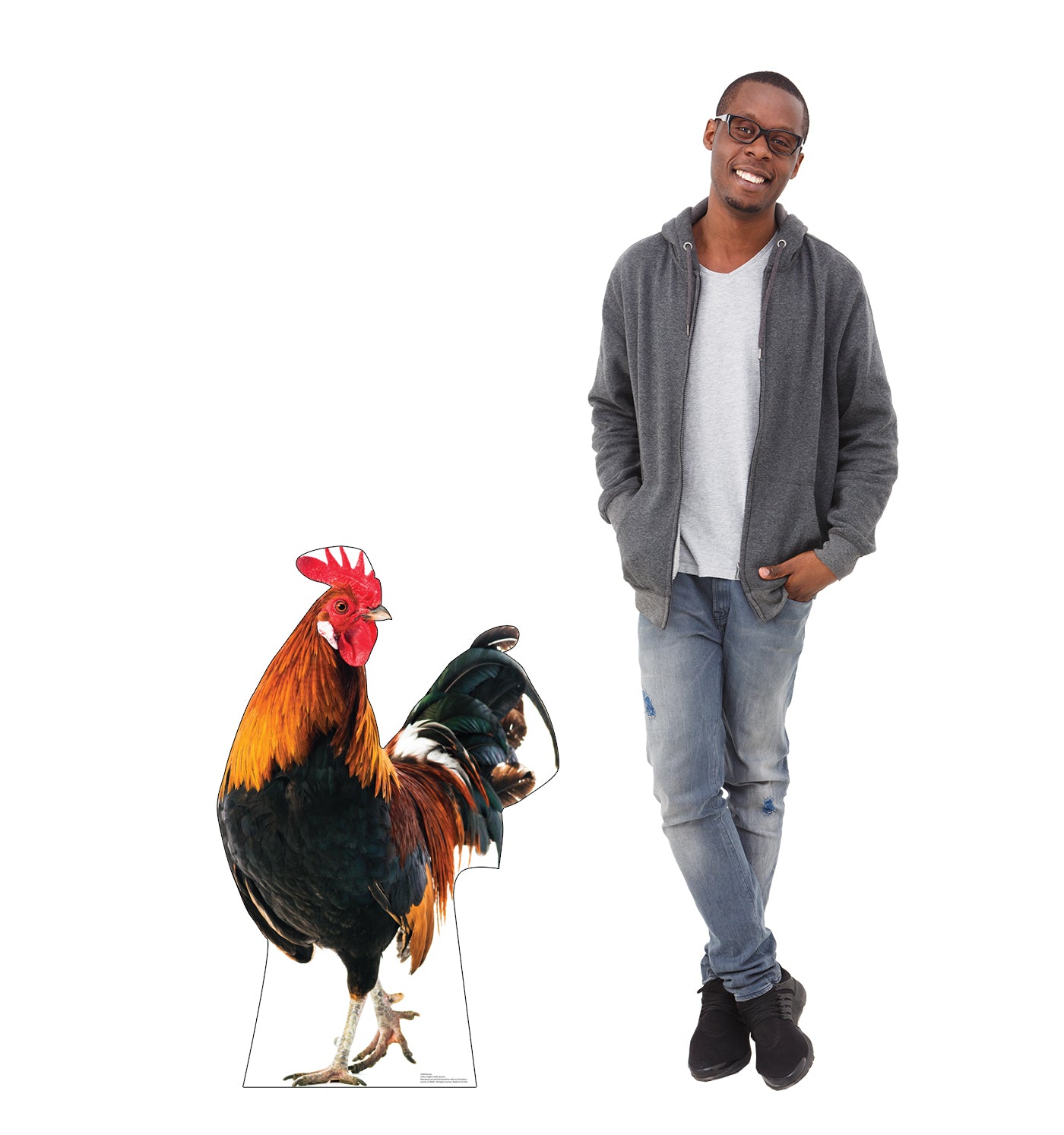 Life-Size Rooster Cardboard Cutout Standee - All Cutouts