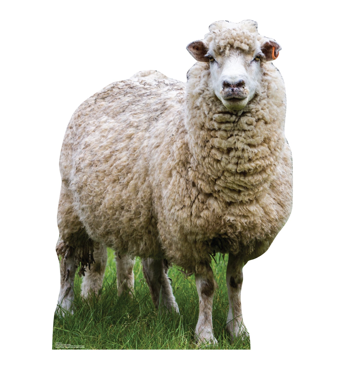 Life-Size Wooly White Sheep Cardboard Cutout - All Cutouts
