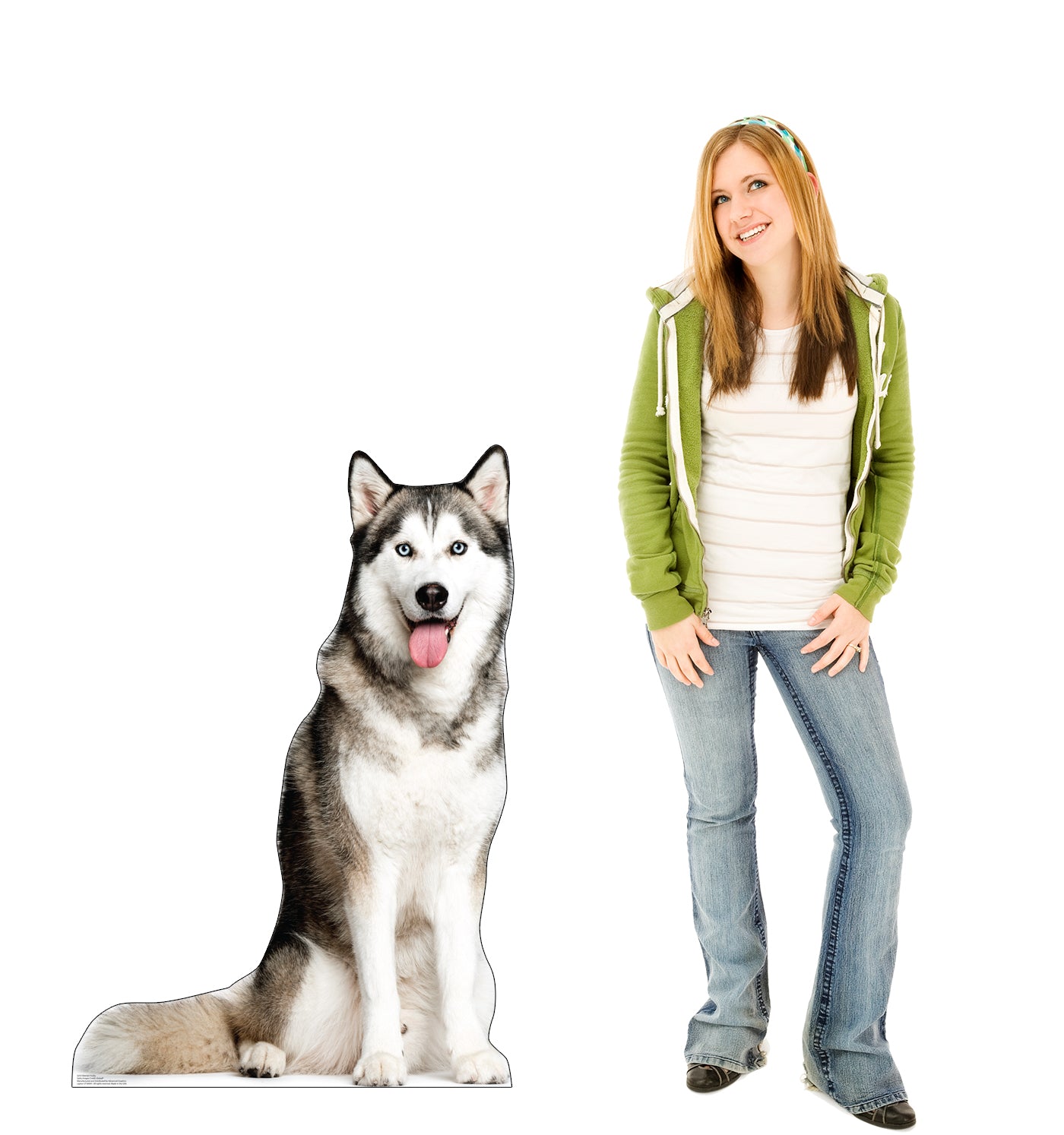 Siberian Husky Life-Size Cardboard Cutout - All Cutouts