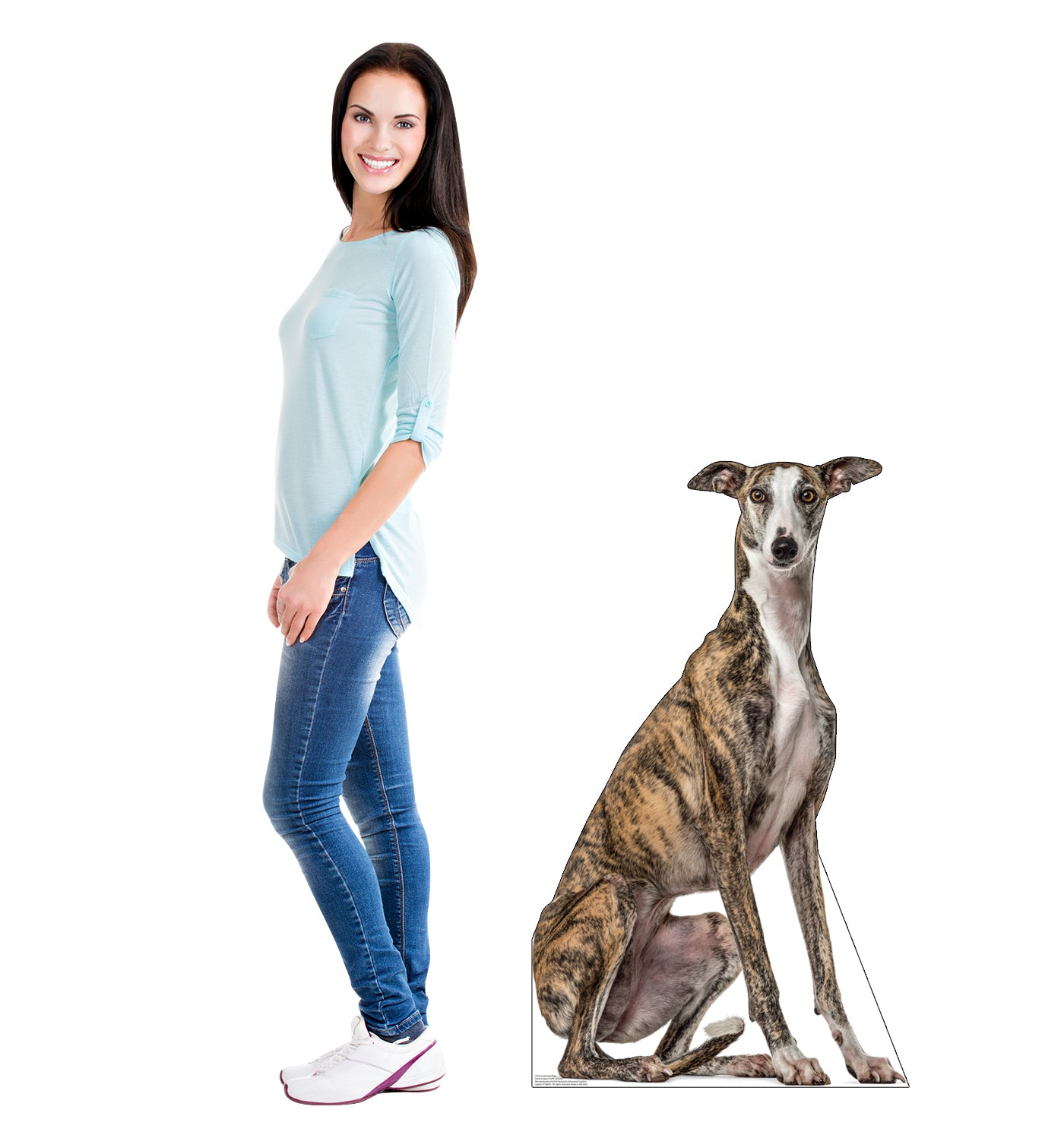 Greyhound Dog Life-Size Cardboard Cutout - All Cutouts