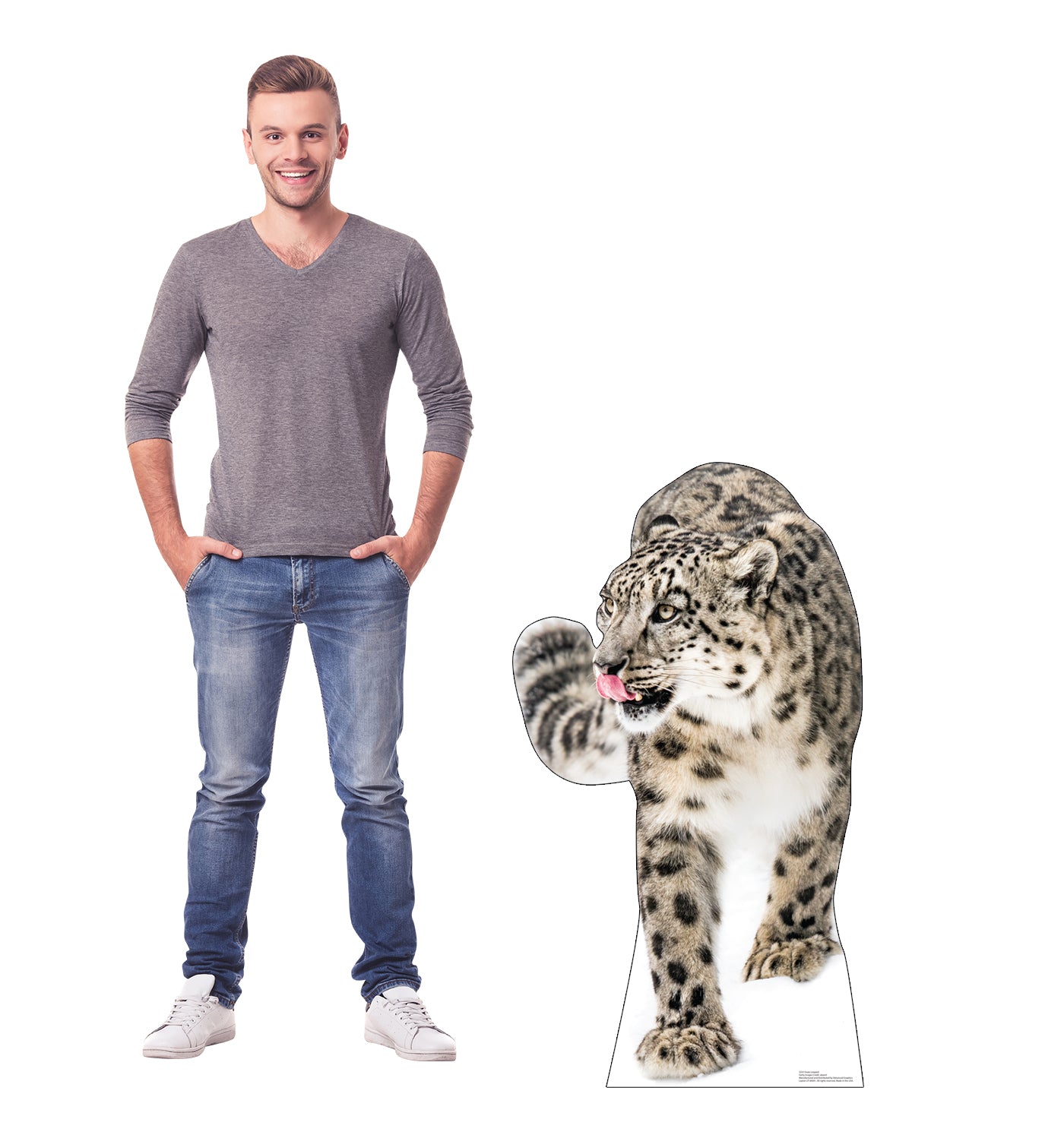 Snow Leopard Life-Size Cardboard Cutout - All Cutouts