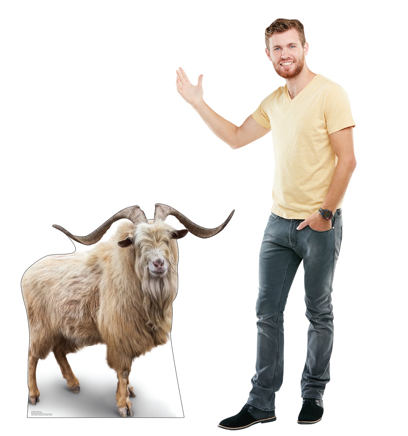 Wild Mountain Goat Life-Size Cardboard Cutout - All Cutouts