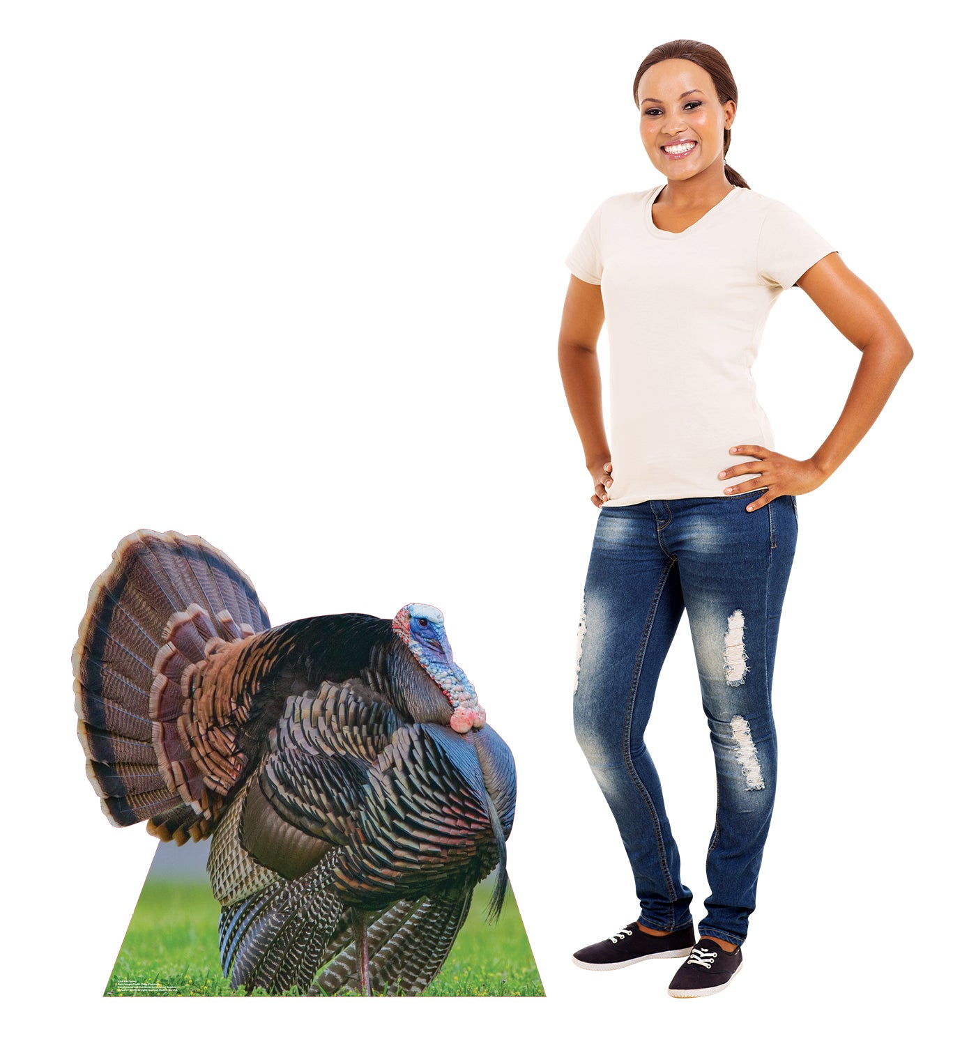Wild Turkey Life-Size Cardboard Cutout - All Cutouts