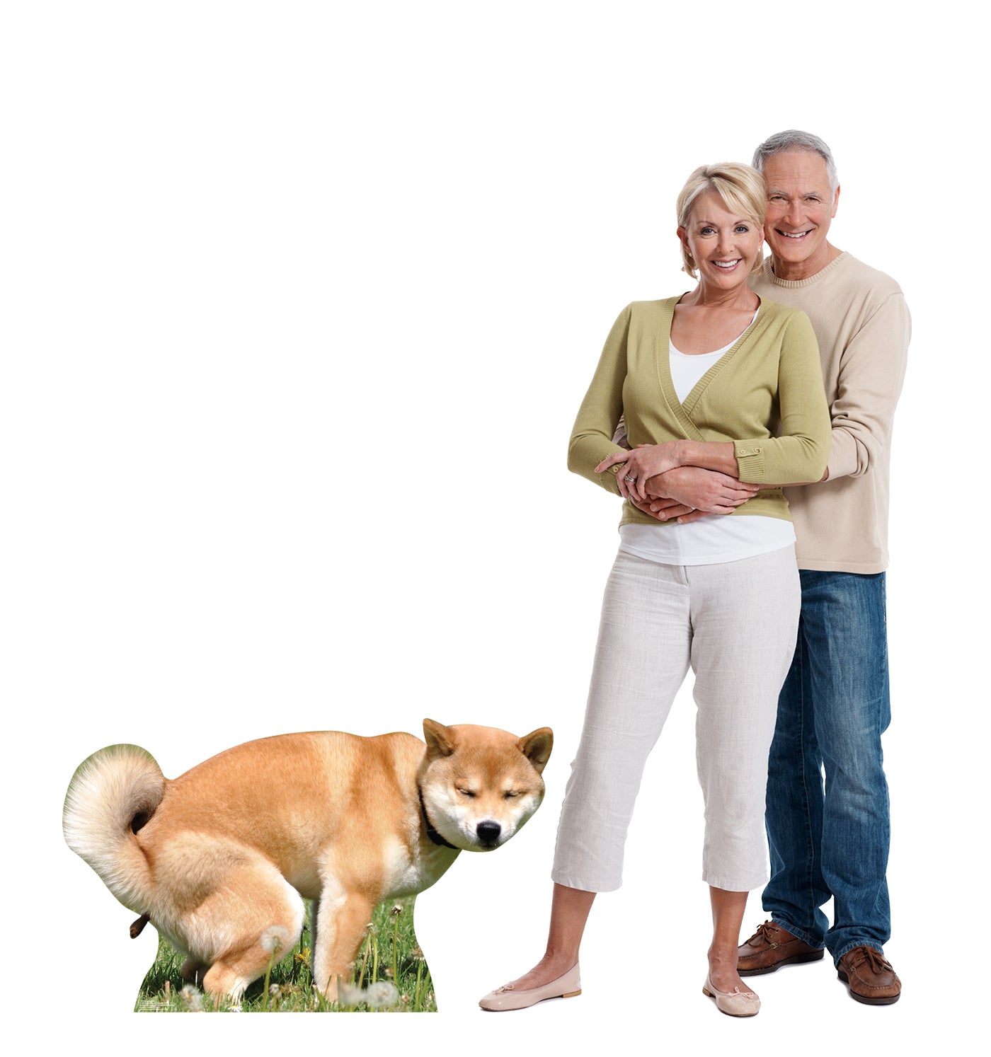 Pooping Dog Life-Size Cardboard Cutout - All Cutouts
