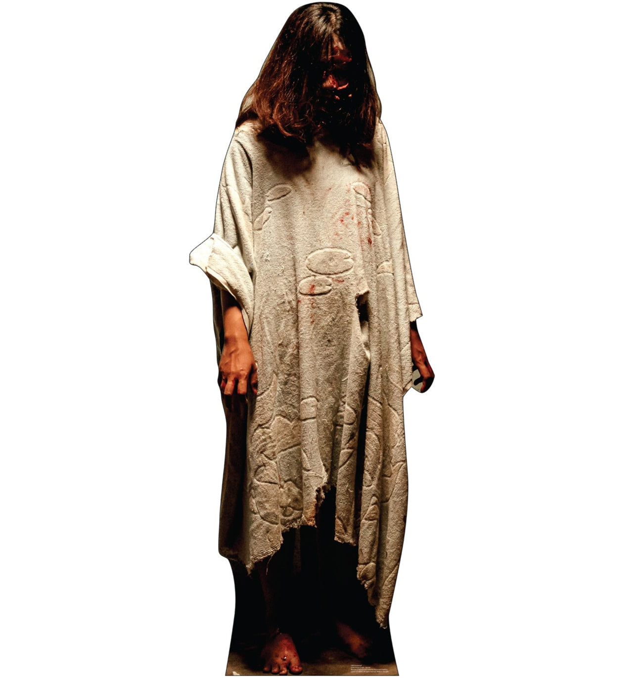 Possessed Cardboard Cutout - All Cutouts