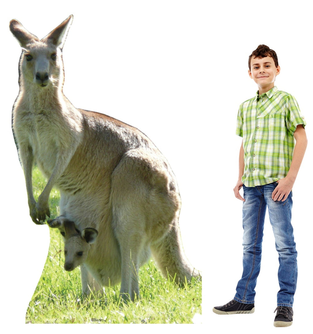 Life-size Kangaroo Cardboard Cutout Standee - All Cutouts