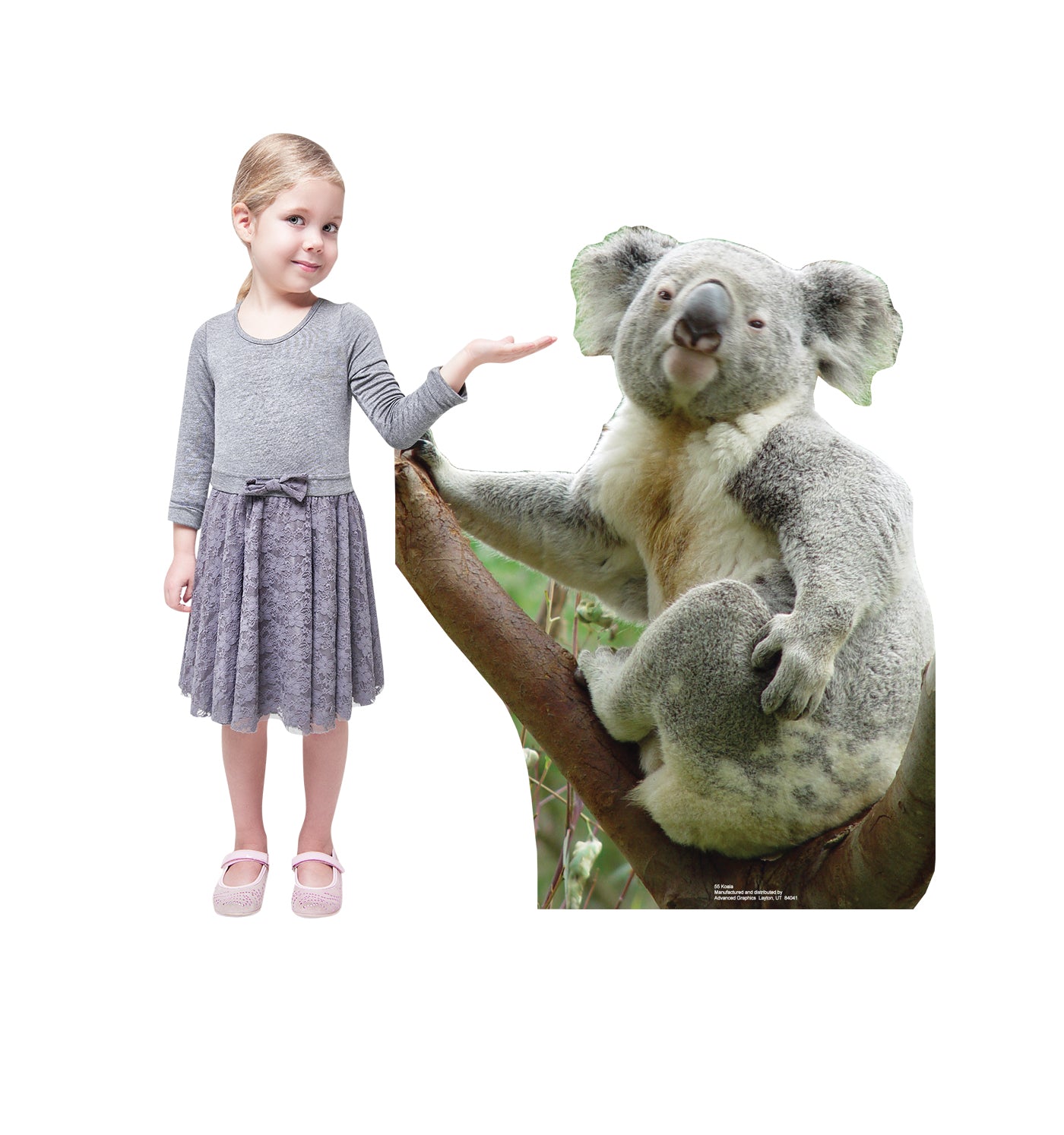 Life-size Koala Bear Cardboard Standup | Cardboard Cutout - All Cutouts