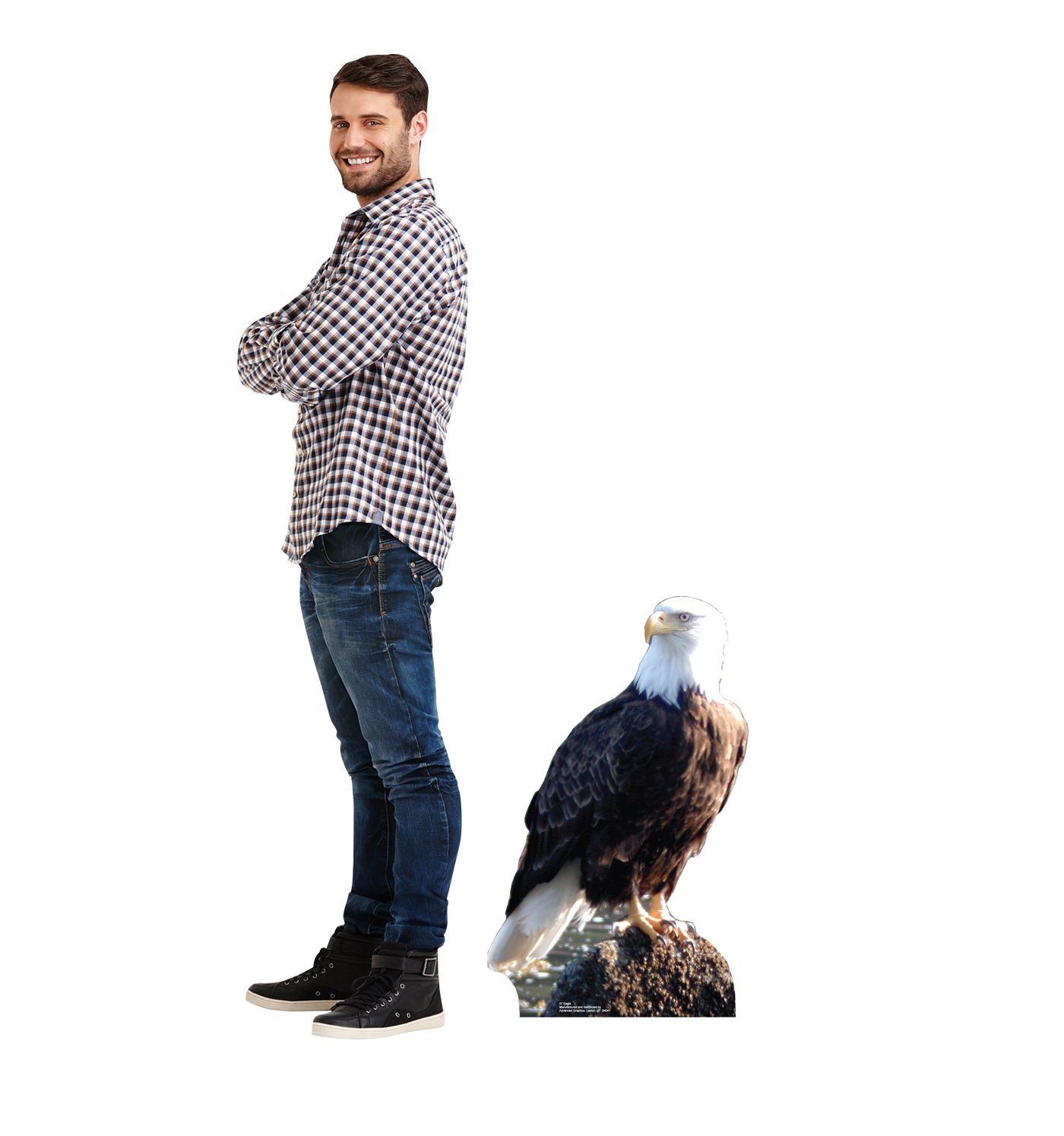 Life-size Bald Eagle Cardboard Cutout Standee - All Cutouts