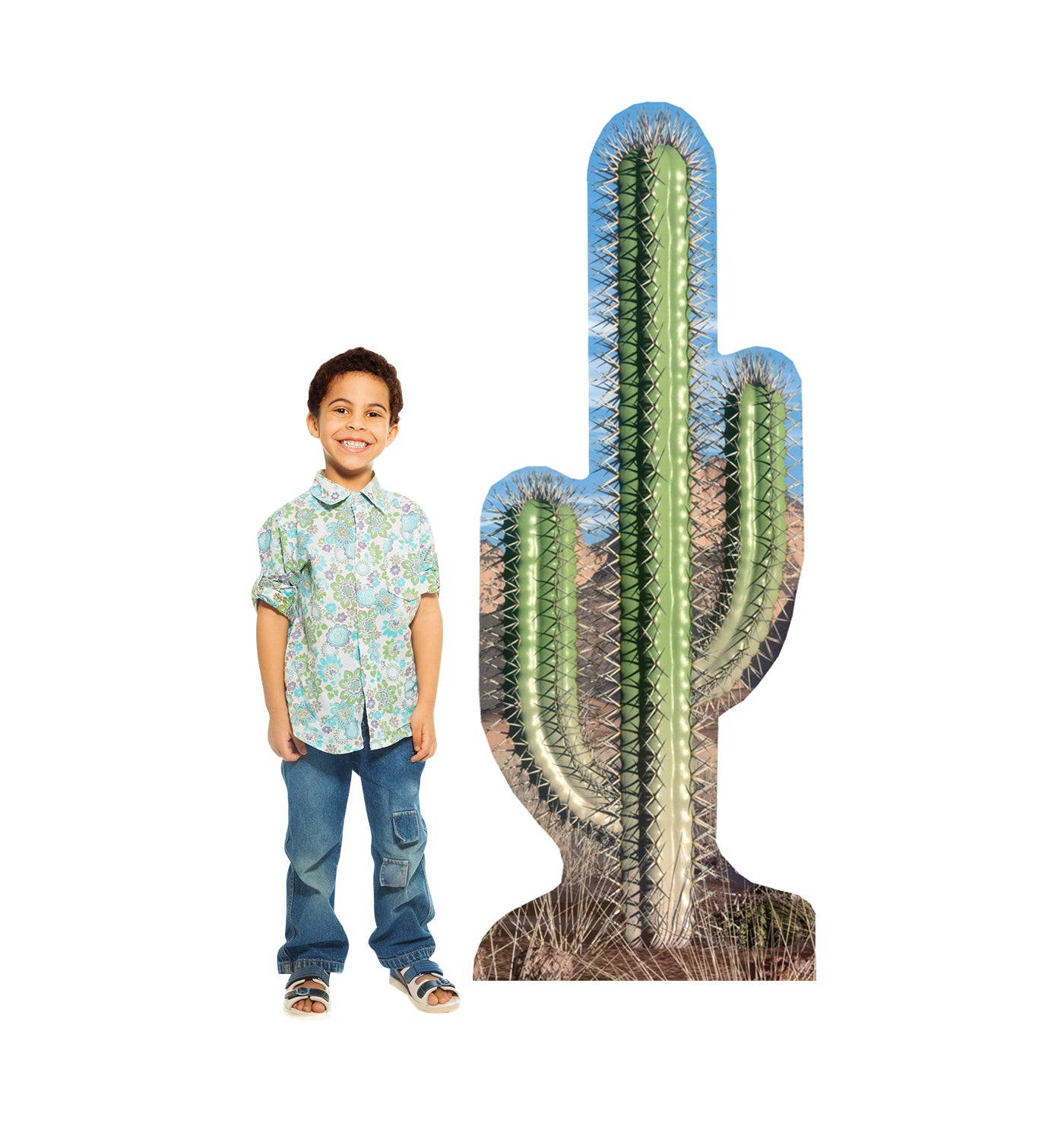 Life-size Cactus Cardboard Standup | Cardboard Cutout - All Cutouts