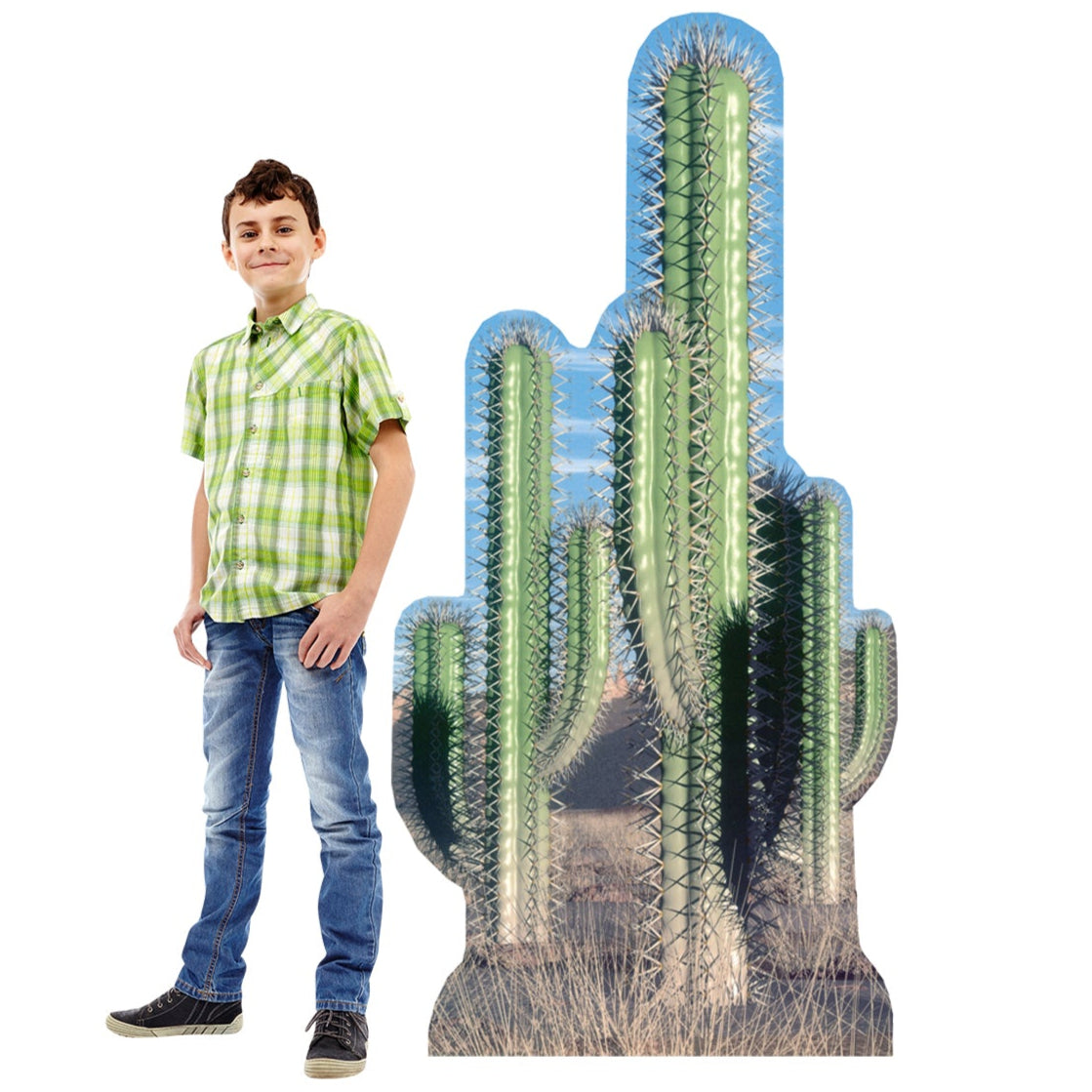 Life-size Cactus Group Cardboard Standup | Cardboard Cutout - All Cutouts