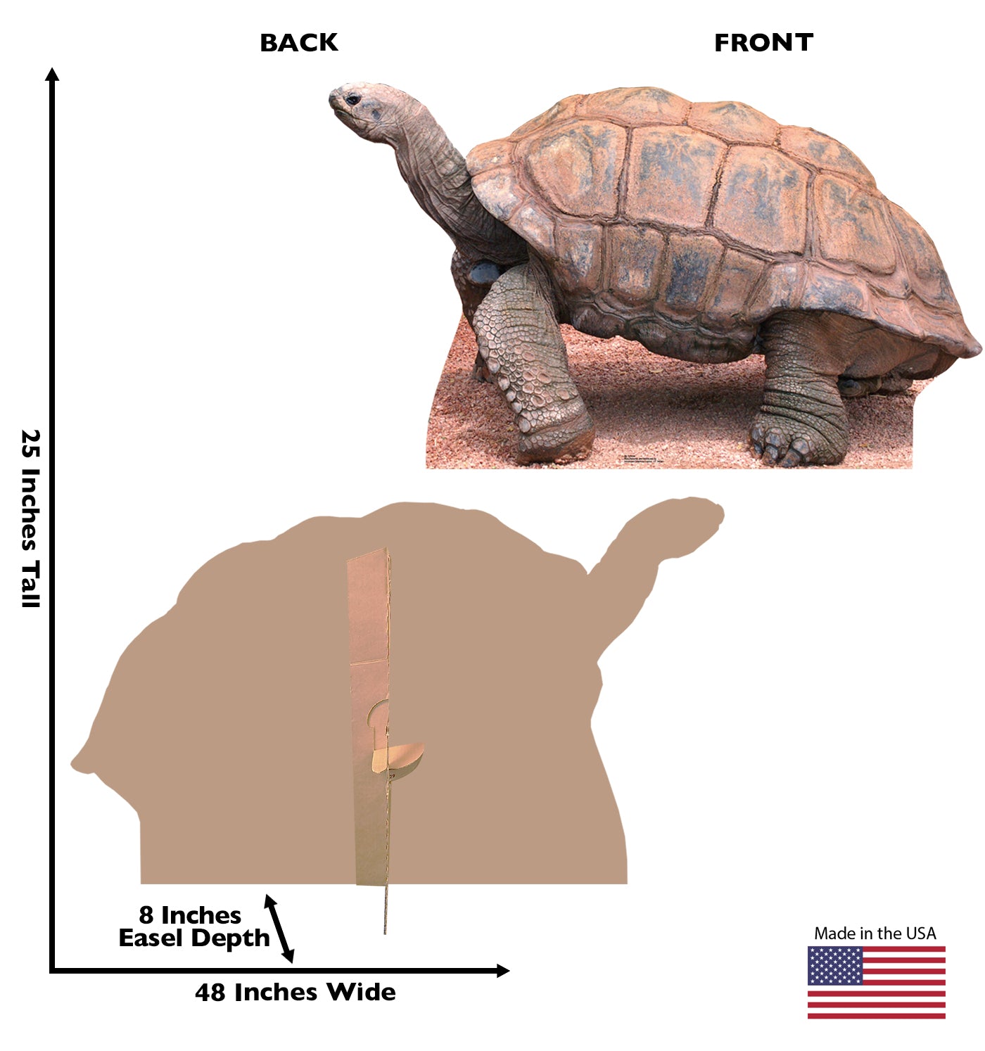 Life-size Tortoise Cardboard Standup | Cardboard Cutout - All Cutouts