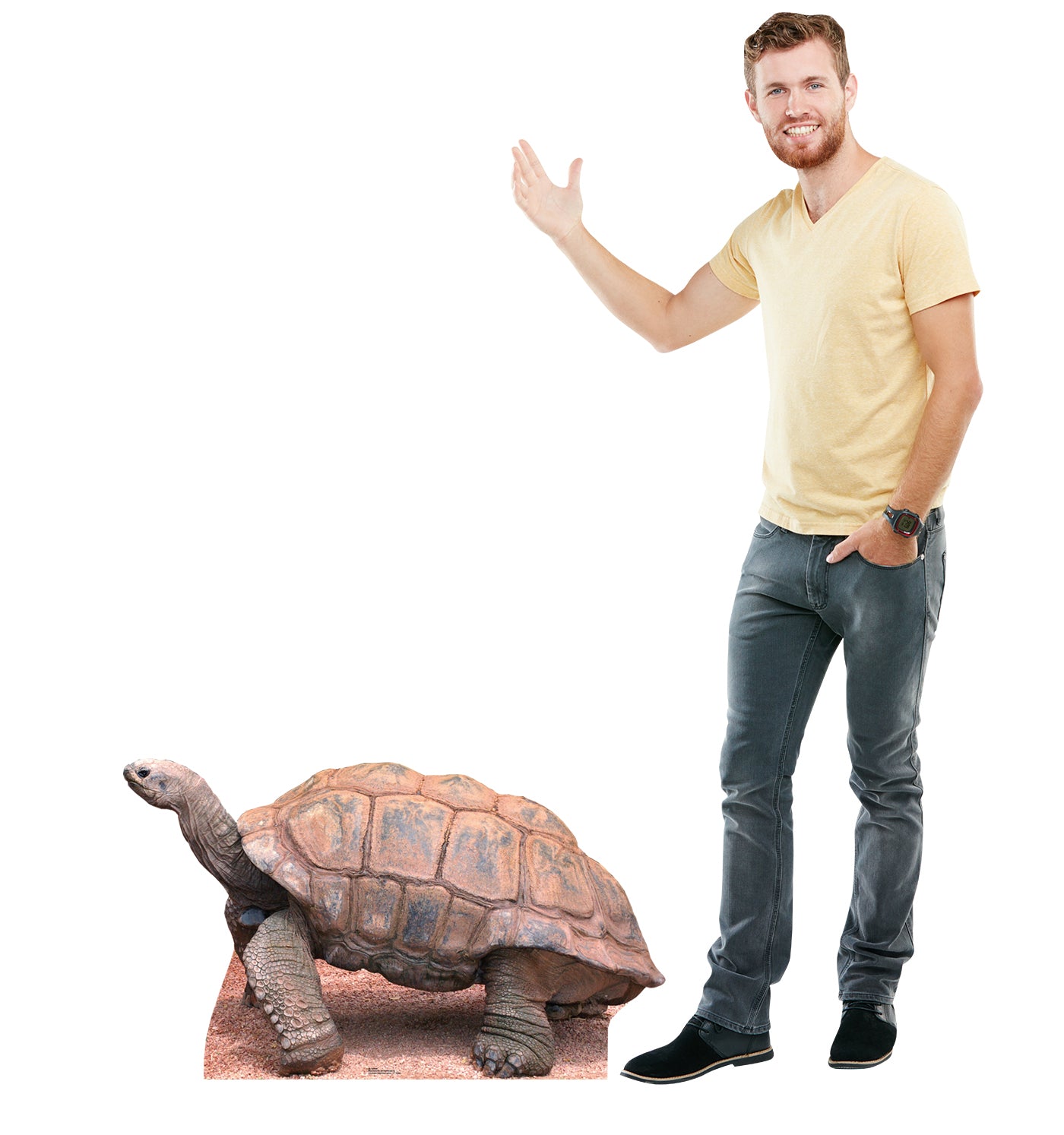 Life-size Tortoise Cardboard Standup | Cardboard Cutout - All Cutouts