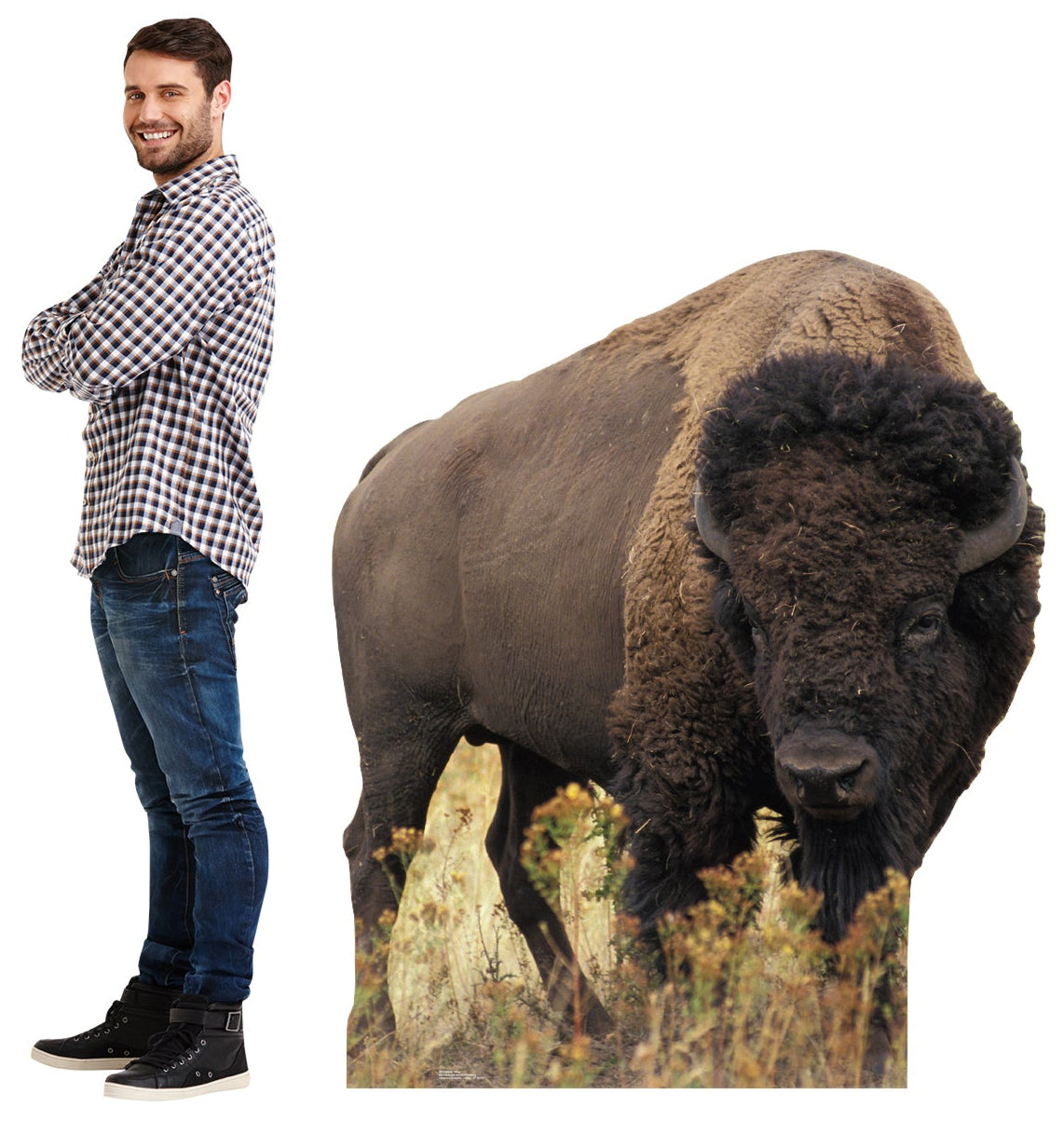 Life-size Bison Cardboard Cutout Standee - All Cutouts