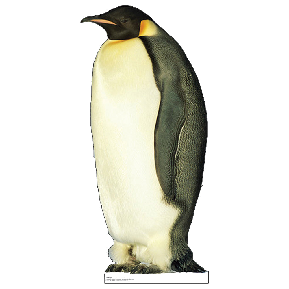 Life-size King Penguin Cardboard Cutout Standup - All Cutouts