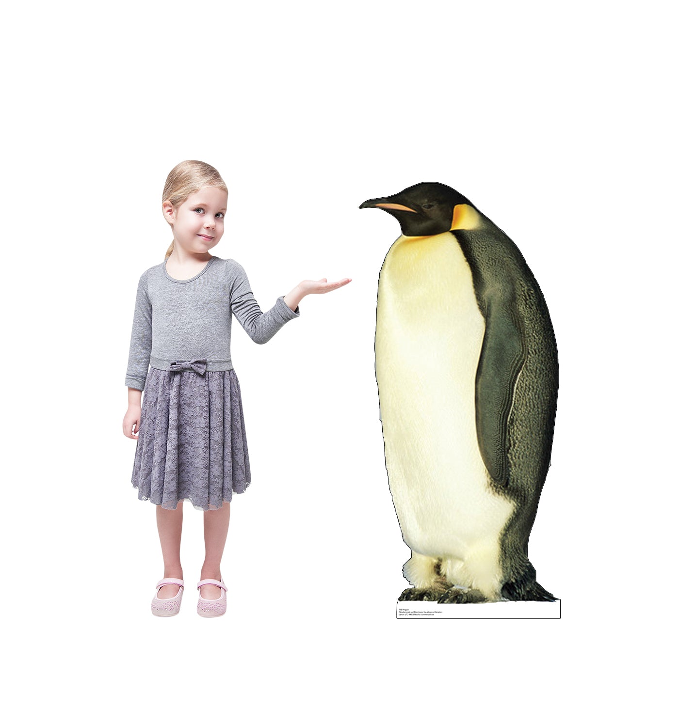 Life-size King Penguin Cardboard Cutout Standup - All Cutouts