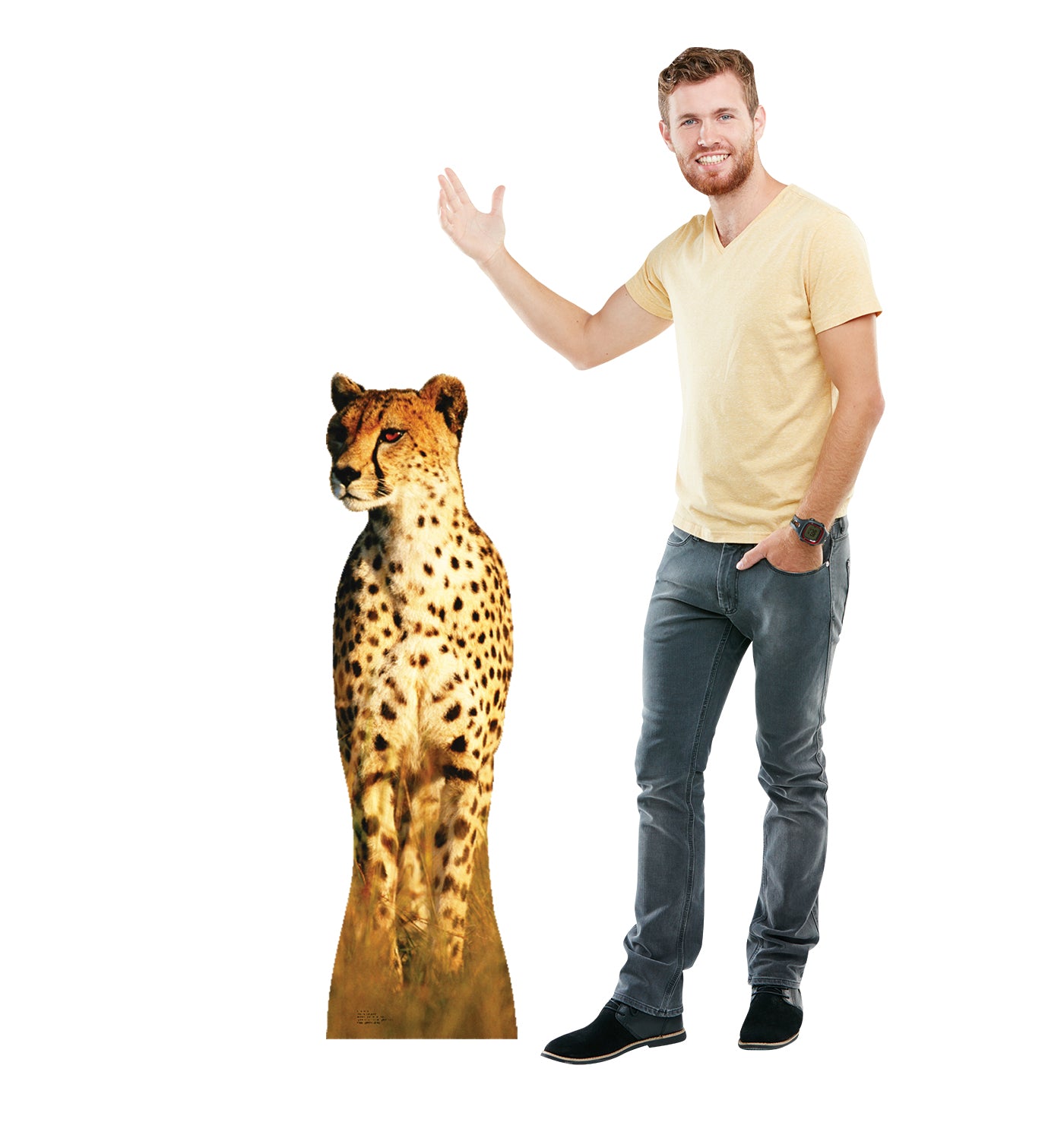 Life-size Cheetah Cardboard Standup | Cardboard Cutout - All Cutouts