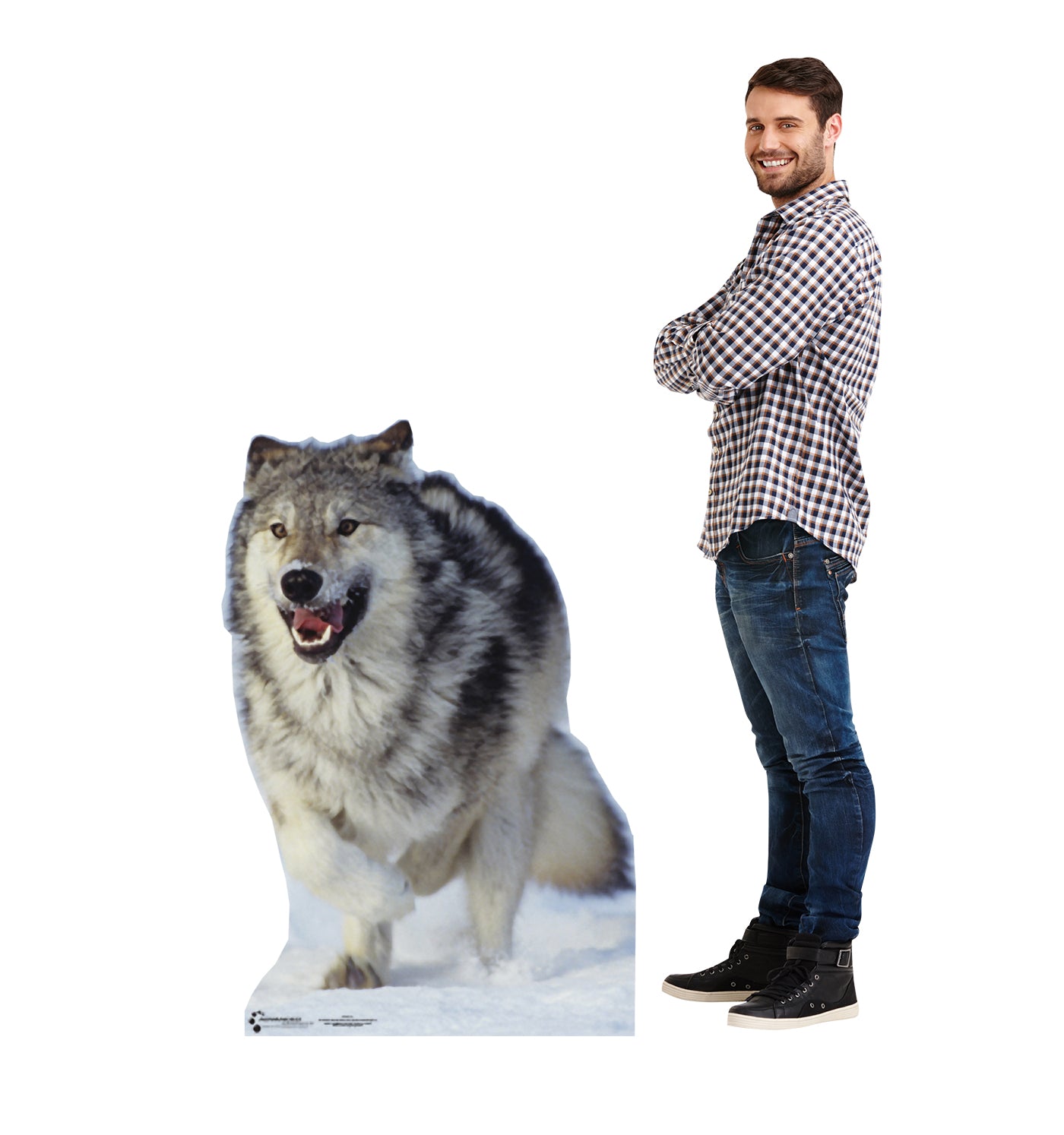 Life-size Wolf Cardboard Cutout Standee - All Cutouts