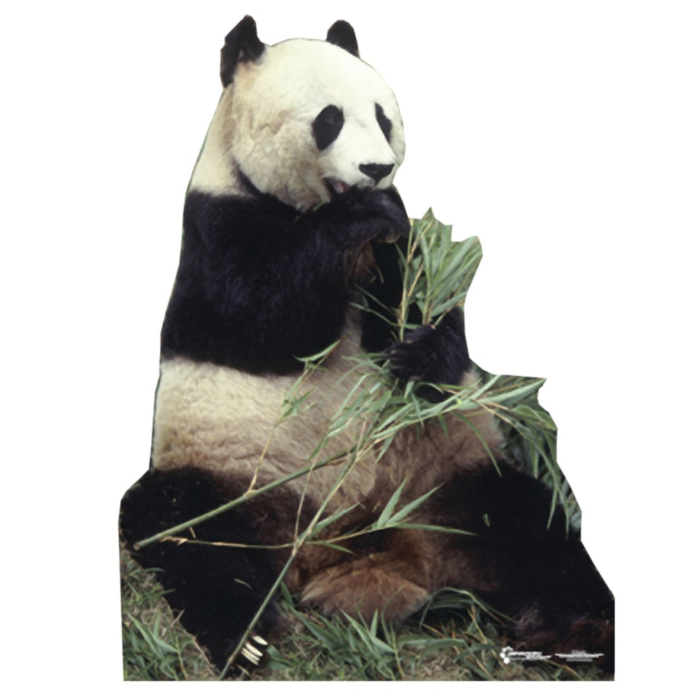 Life-size Panda Bear Cardboard Cutout - All Cutouts