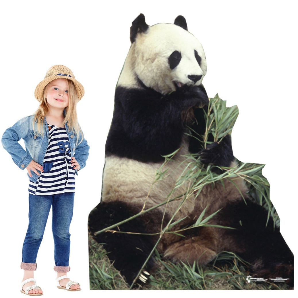 Life-size Panda Bear Cardboard Cutout - All Cutouts