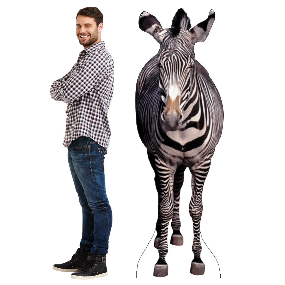 Life-size Zebra Cardboard Standup - All Cutouts