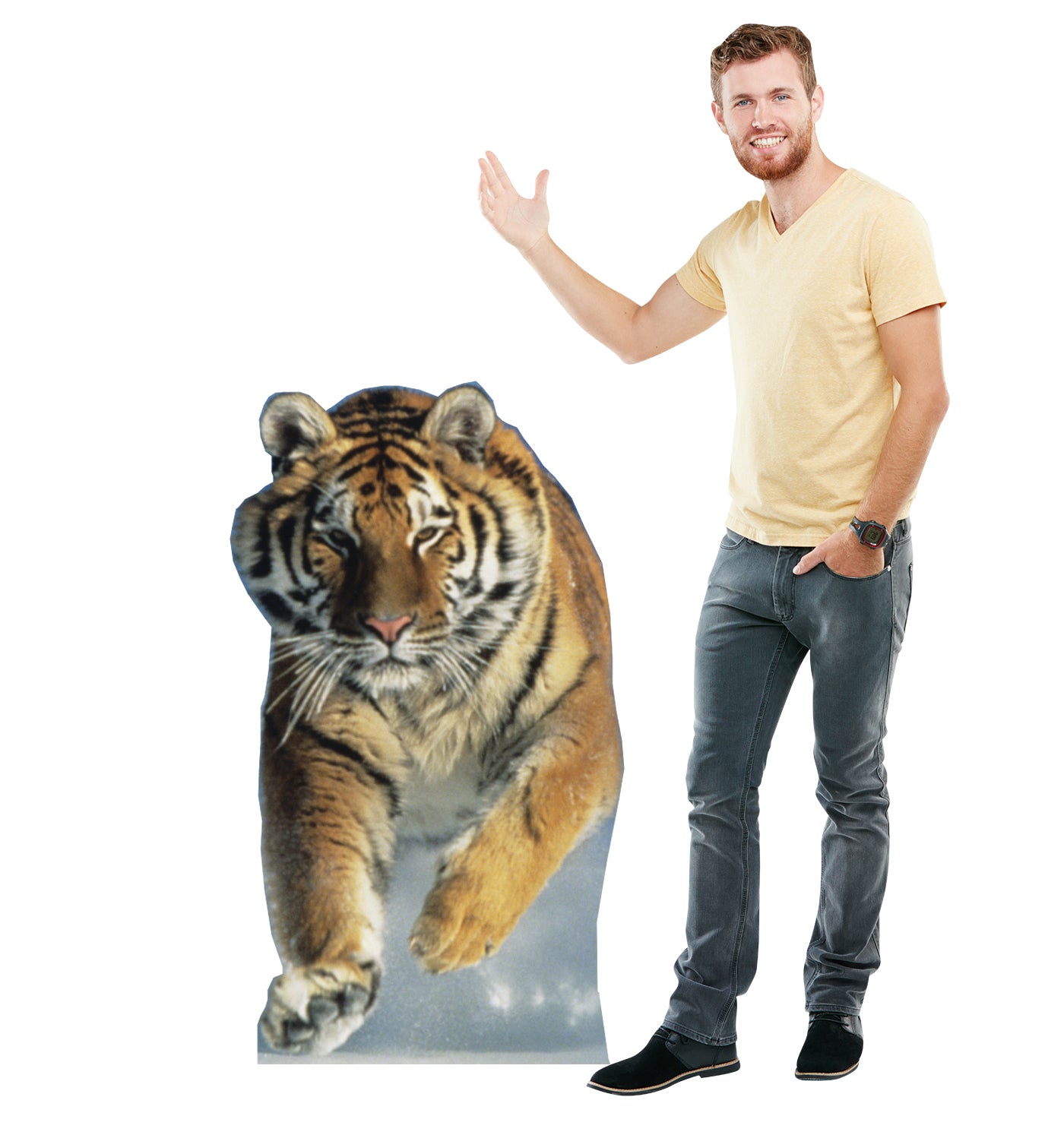 Life-size Tiger in the Snow Cardboard Cutout - All Cutouts
