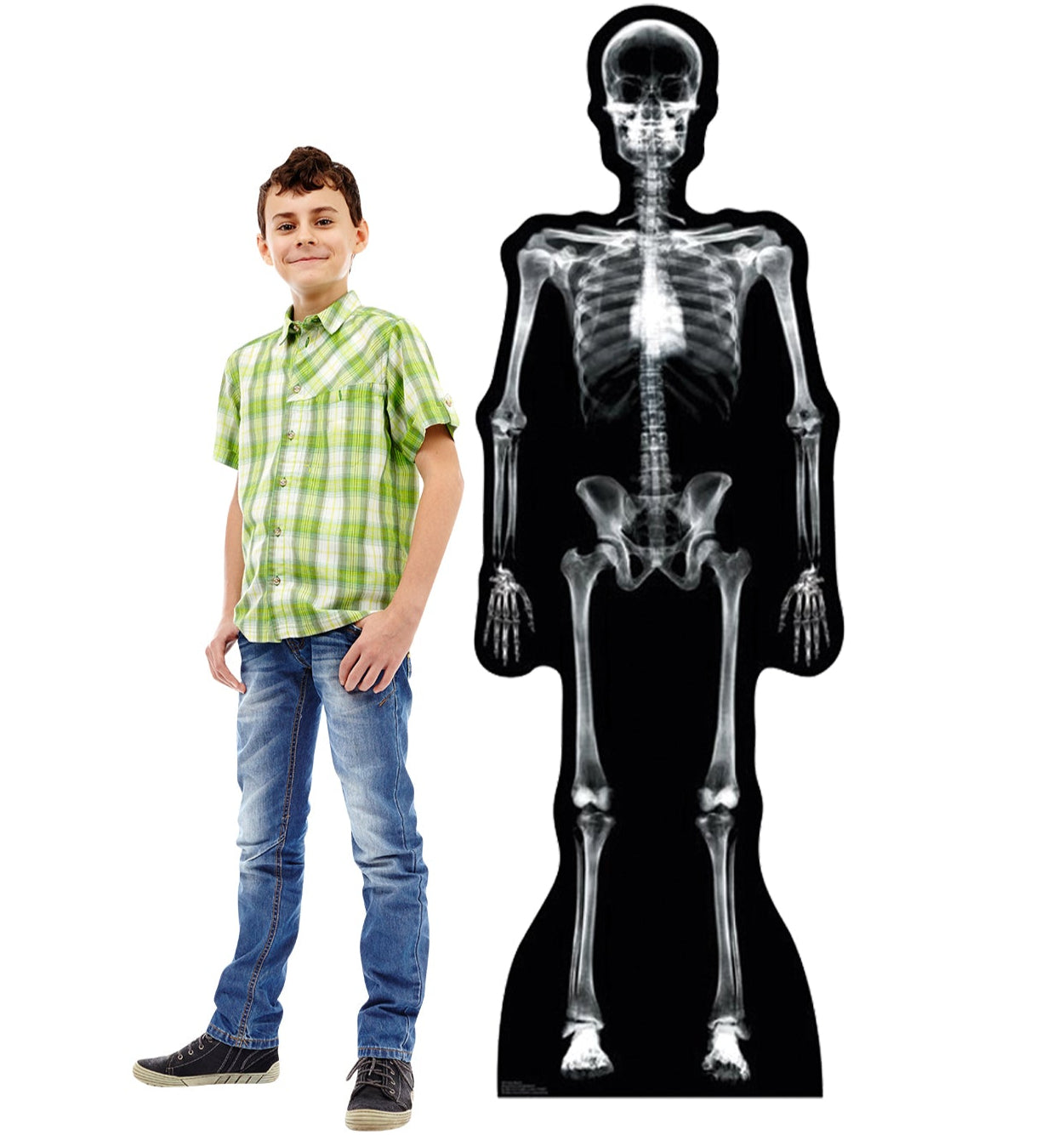 Life-size X-Ray Skeleton Cardboard Standup - All Cutouts