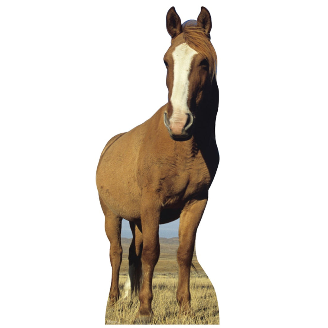 Life-size Horse Cardboard Standup - All Cutouts