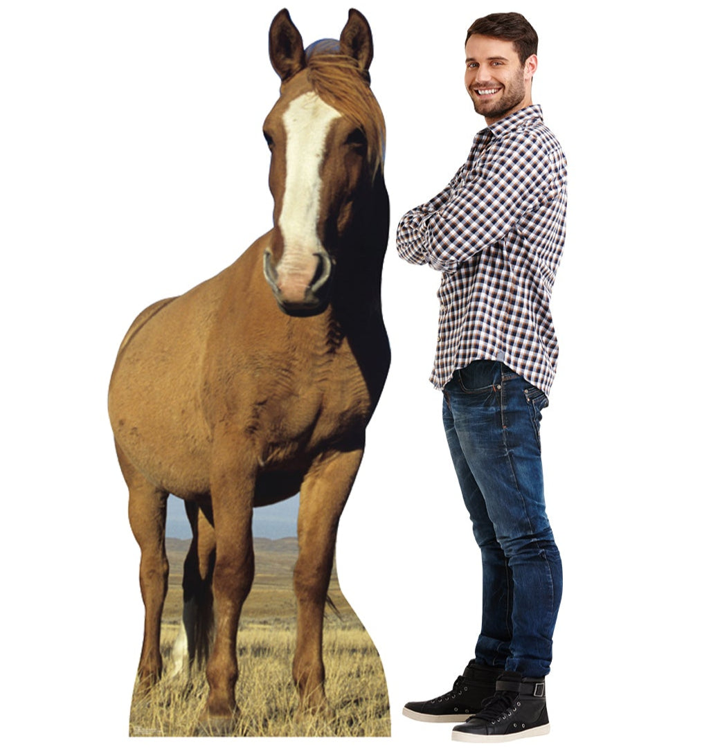 Life-size Horse Cardboard Standup - All Cutouts