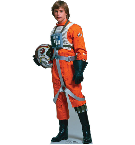 Life-size Luke Skywalker Rebel Pilot Cardboard Cutout - All Cutouts