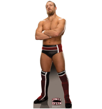 Daniel Bryan Life-Size Cardboard Cutout - All Cutouts