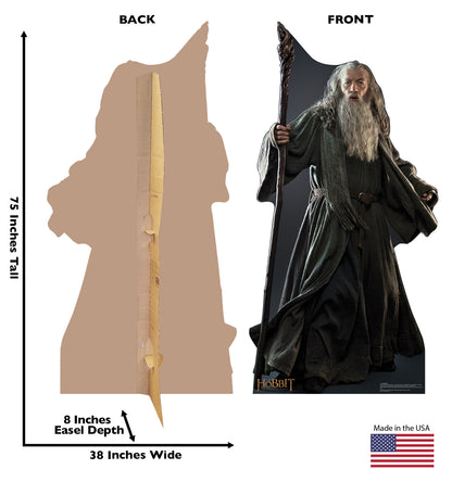 Life-size Gandalf Cardboard Cutout - All Cutouts