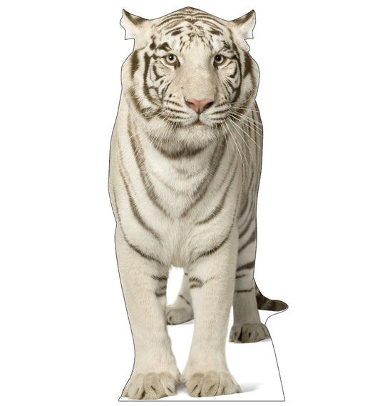 Life-size White Tiger Cardboard Standup - All Cutouts