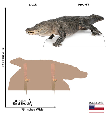 Life-size American Alligator Cardboard Standup - All Cutouts