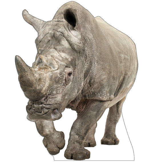 Life-size White Rhinoceros Cardboard Cutout - All Cutouts