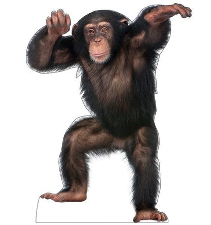 Life-size Young Chimpanzee Cardboard Cutout Standee - All Cutouts