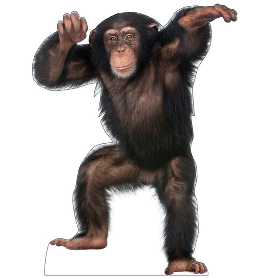 Life-size Young Chimpanzee Cardboard Cutout Standee - All Cutouts