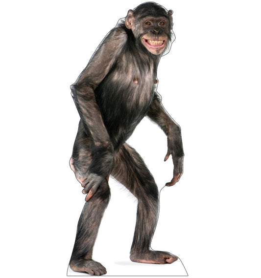 Life-size Chimpanzee Cardboard Standup - All Cutouts