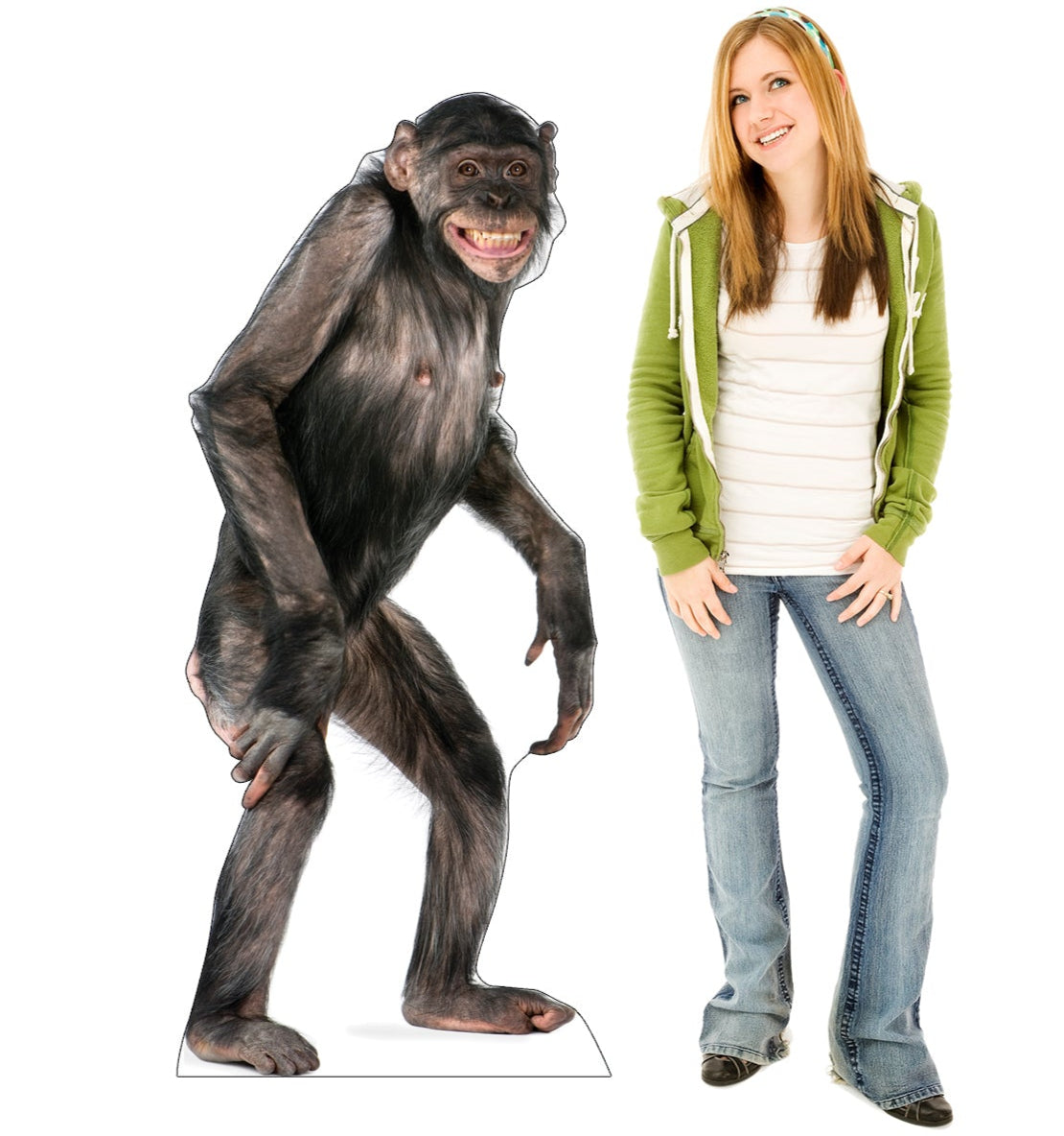 Life-size Chimpanzee Cardboard Standup - All Cutouts