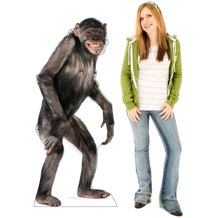 Life-size Chimpanzee Cardboard Standup - All Cutouts