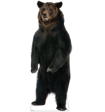 Brown Bear Talking Life-Size Cardboard Cutout - All Cutouts