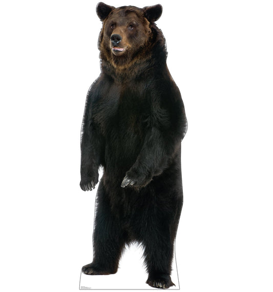 Brown Bear Talking Life-Size Cardboard Cutout - All Cutouts